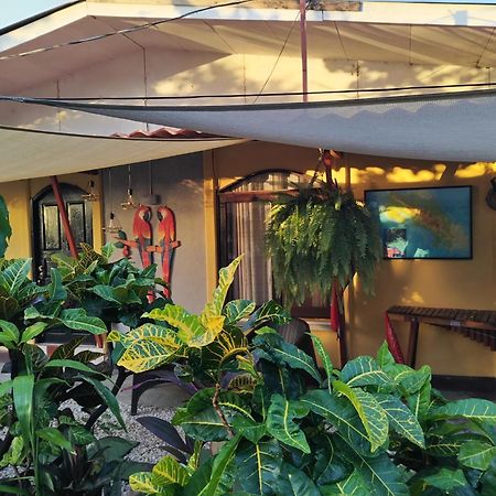 Villa Gabriela, Casa Tucan Liberia Ngoại thất bức ảnh