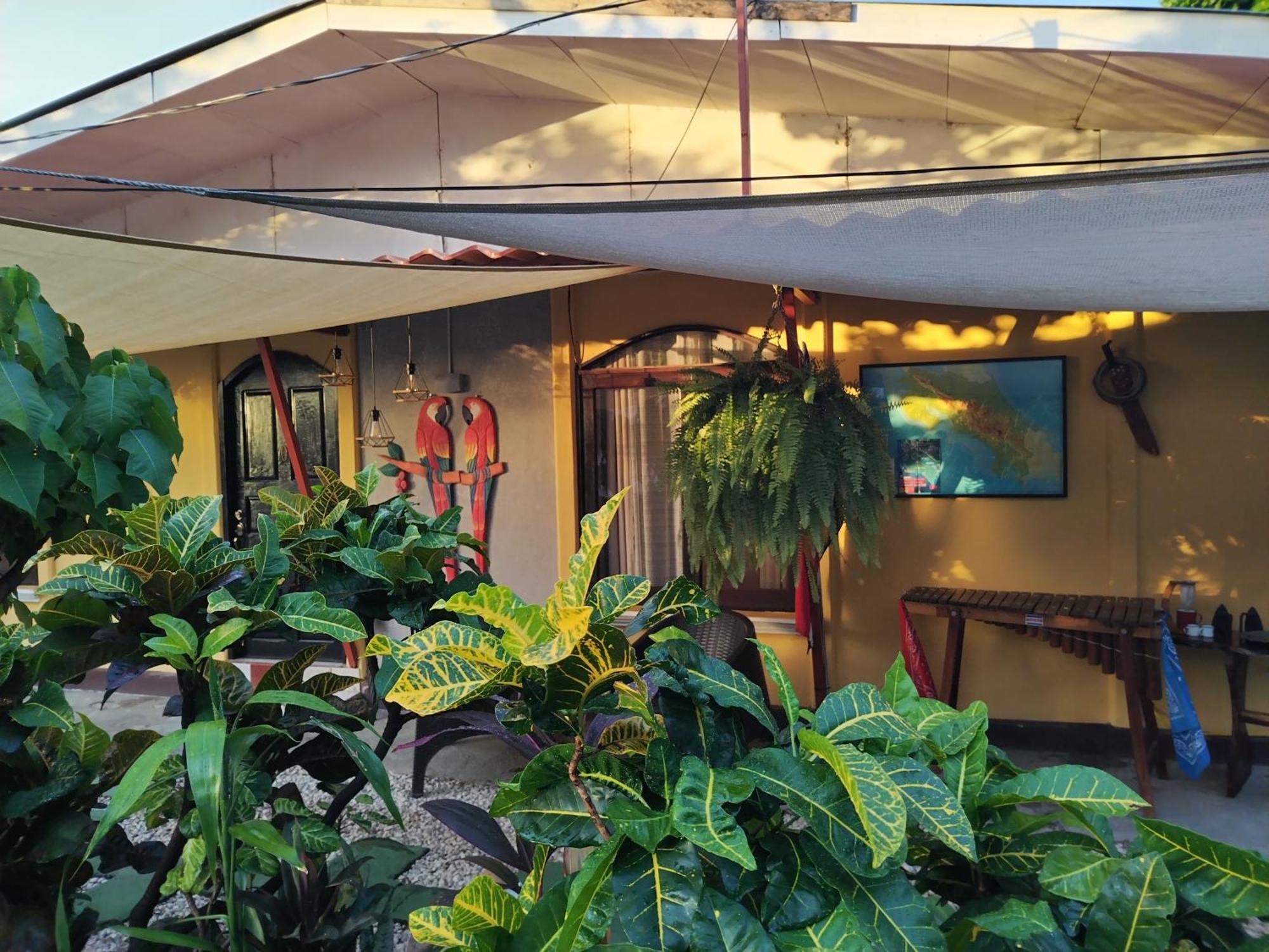 Villa Gabriela, Casa Tucan Liberia Ngoại thất bức ảnh